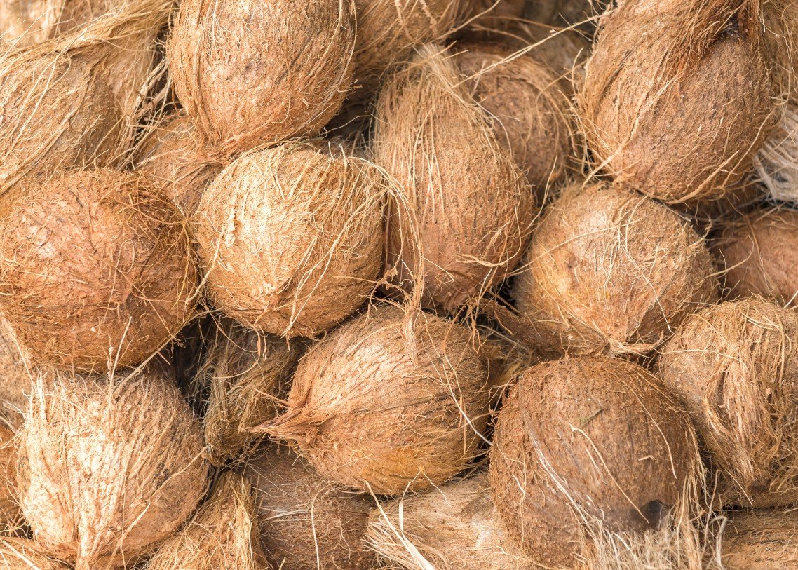 Yin Best Supply product 9